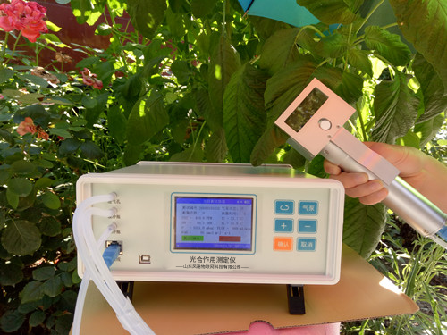 植物氣孔針有何應(yīng)用？