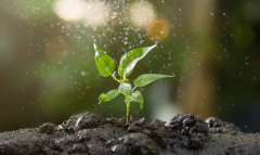 農業(yè)氣象站如何進行數(shù)據(jù)處理